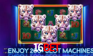 16bet Cassino Ao Vivo - 89 Mesas Evolution Gaming